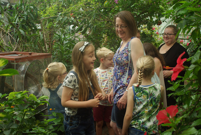 A group of visitors exploring the butterfly hall