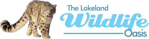 The Lakeland Wildlife Oasis logo
